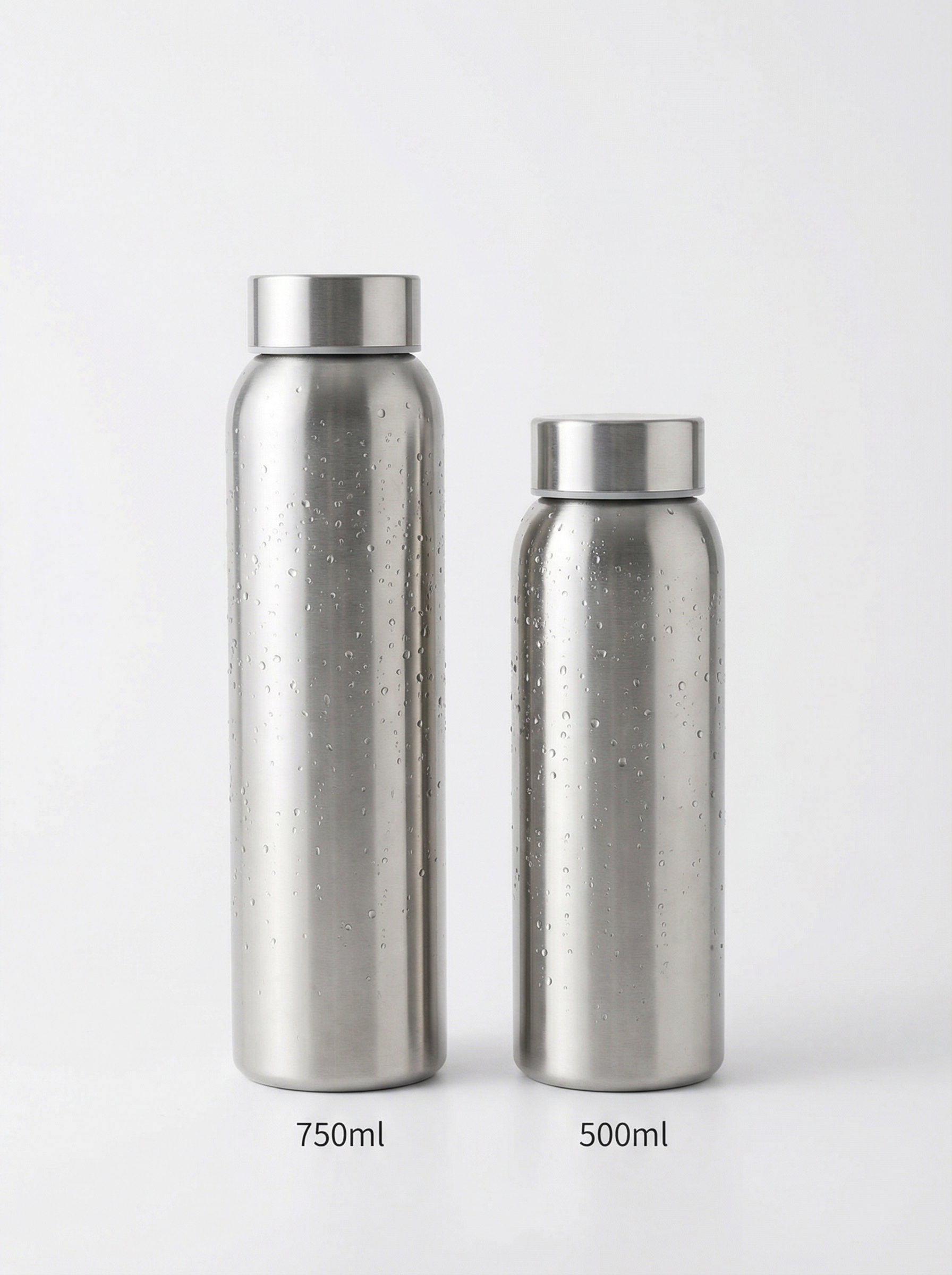 Premium Water Bottle